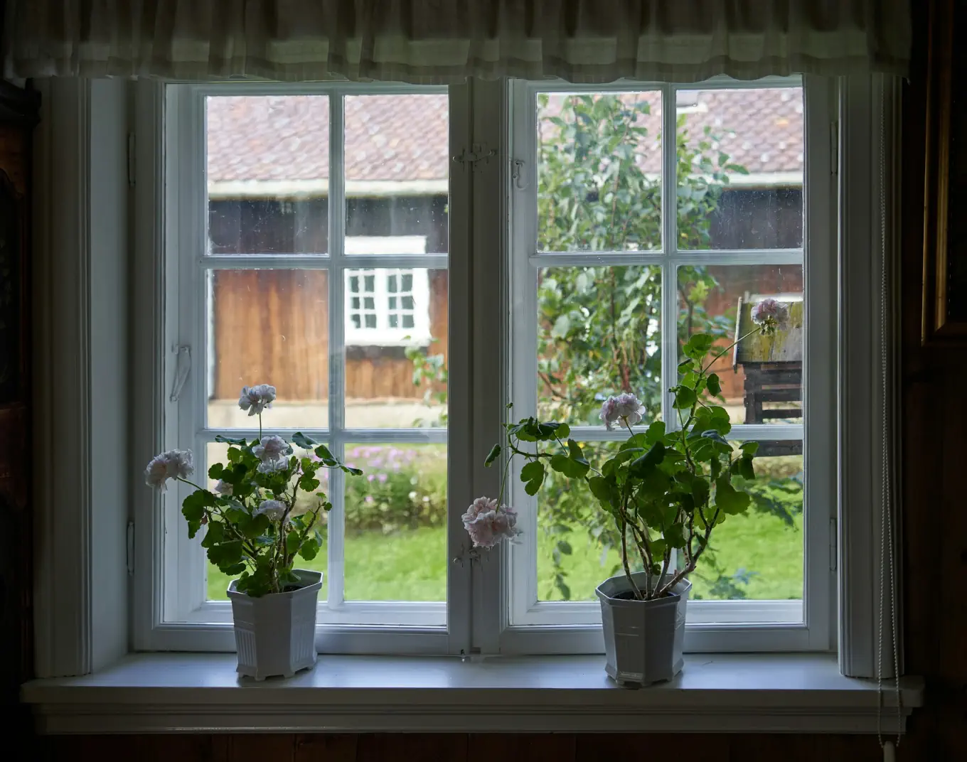 new-windows-